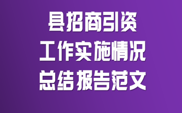 ���������ʹ���ʵʩ����ܽᱨ�淶��