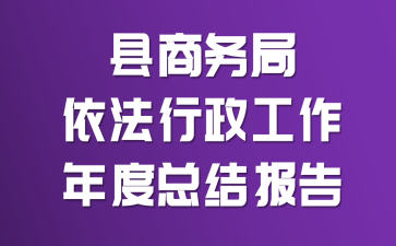 县商务局依法行政工作年度总结报告