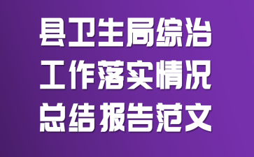 县卫生局综治工作落实情况总结报告范文
