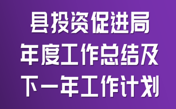 县投资促进局年度工作总结及下一年工作计划
