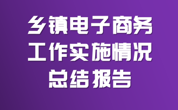 乡镇电子商务工作实施情况总结报告