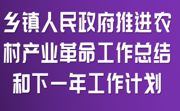 乡镇人民政府推进农村产业革命工作总结和下一年工作计划