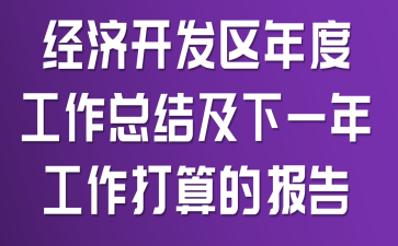 经济开发区年度工作总结及下一年工作打算的报告