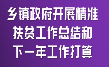 乡镇政府开展精准扶贫工作总结和下一年工作打算