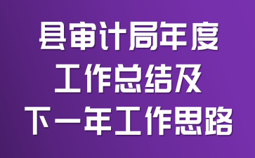 县审计局年度工作总结及下一年工作思路