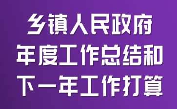 乡镇人民政府年度工作总结和下一年工作打算