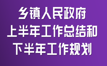 乡镇人民政府上半年工作总结和下半年工作规划