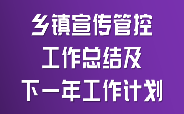 乡镇宣传管控工作总结及下一年工作计划