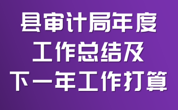 县审计局年度工作总结及下一年工作打算