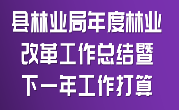 县林业局年度林业改革工作总结暨下一年工作打算