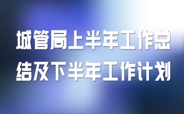 城管局上半年工作总结及下半年工作计划
