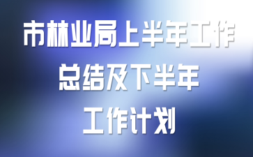 街道上半年工作总结及下半年工作计划