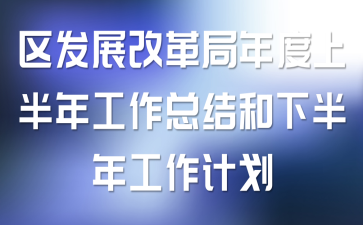 区发展改革局年度上半年工作总结和下半年工作计划