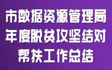 市数据资源管理局年度脱贫攻坚结对帮扶工作总结