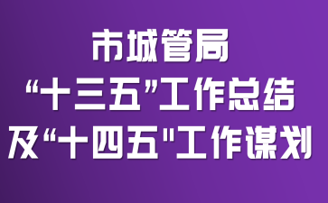 市城管局“十三五”工作总结及“十四五"工作谋划