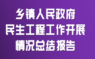 乡镇人民政府民生工程工作开展情况总结报告