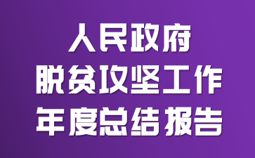 人民政府脱贫攻坚工作年度总结报告