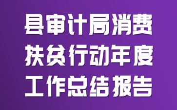 县审计局消费扶贫行动年度工作总结报告