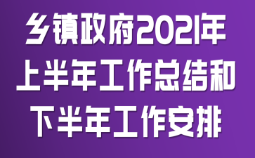 乡镇政府2021年上半年工作总结和下半年工作安排