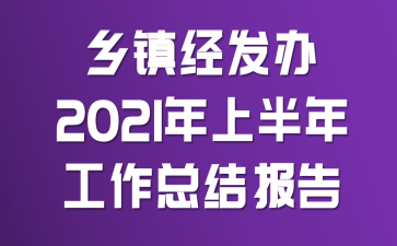 乡镇经发办2021年上半年工作总结报