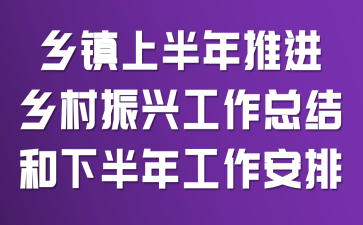 乡镇上半年推进乡村振兴工作总结和下半年工作安排