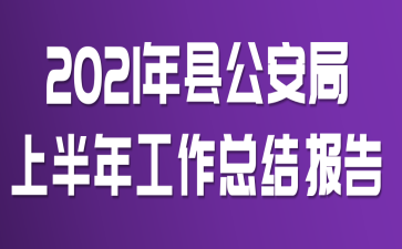 2021年县公安局上半年工作总结报告