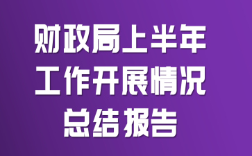 财政局上半年工作开展情况总结报告