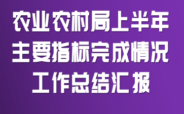 农业农村局上半年主要指标完成情况工作总结汇报