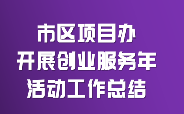市区项目办开展创业服务年活动工作总结