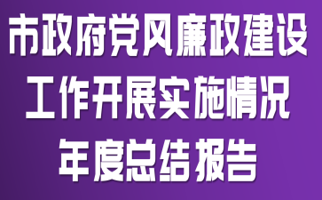 市政府党风廉政建设工作开展实施情况年度总结报告