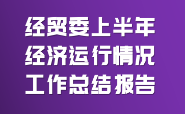 经贸委上半年经济运行情况工作总结报告