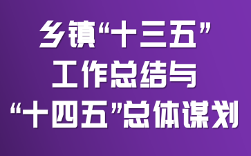 乡镇“十三五”工作总结与“十四五”总体谋划