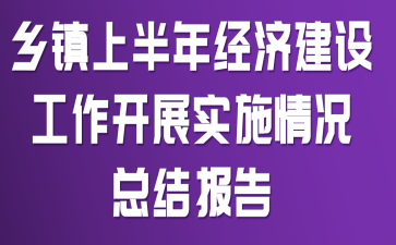乡镇上半年经济建设工作开展实施情况总结报告