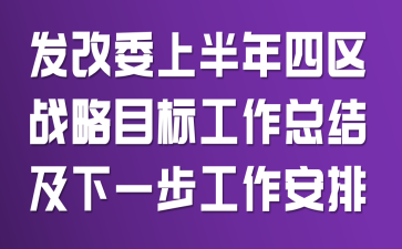 发改委上半年四区战略目标工作总结及下一步工作安排
