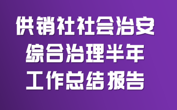 供销社社会治安综合治理半年工作总结报告