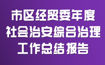 市区经贸委年度社会治安综合治理工作总结报告