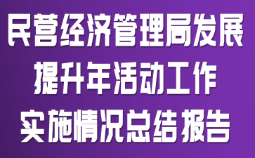 民营经济管理局发展提升年活动工作实施情况总结报告
