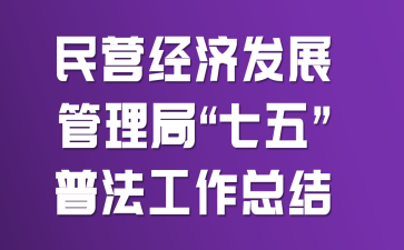 民营经济发展管理局“七五”普法工作总结