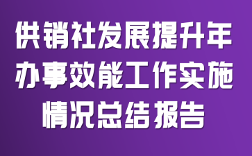 供销社发展提升年办事效能工作实施情况总结报告