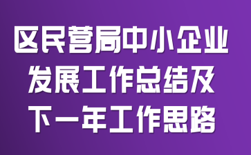 ����Ӫ����С��ҵ��չ�����ܽἰ��һ�깤��˼·