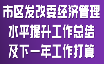 市区发改委经济管理水平提升工作总结及下一年工作打算