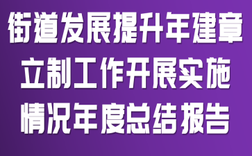 街道发展提升年建章立制工作开展实施情况年度总结报告