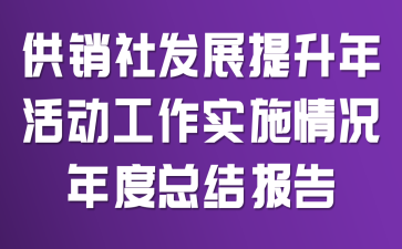 �����緢չ����������ʵʩ�������ܽᱨ��