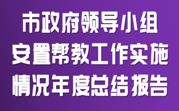 市政府领导小组安置帮教工作实施情况年度总结报告
