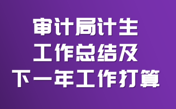 审计局计生工作总结及下一年工作打算