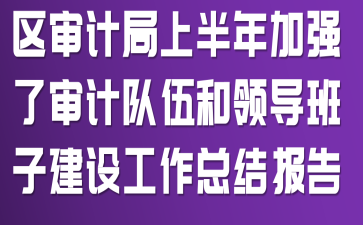 ����ƾ��ϰ����ǿ����ƶ�����쵼���ӽ��蹤���ܽᱨ��