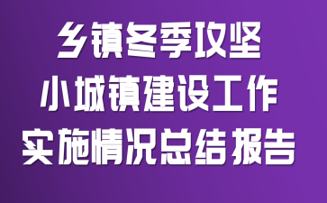 ���򶬼�����С�����蹤��ʵʩ����ܽᱨ��
