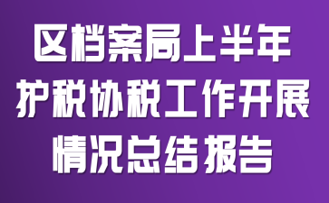 区档案局上半年护税协税工作开展情况总结报告