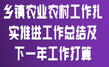 ����ũҵũ�幤����ʵ�ƽ������ܽἰ��һ�깤������