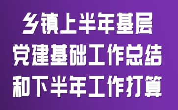乡镇上半年基层党建基础工作总结和下半年工作打算
